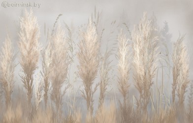 Фотообои De-Art Золотая трава бежевый фон